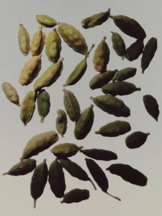 (100 Ml) Irreplaceable Iris Eau De Parfum