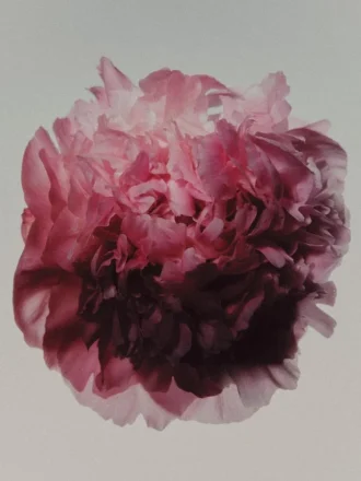 (100 Ml) Peony Intense Eau De Parfum