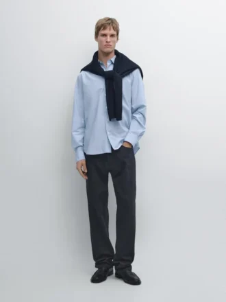 Regular Fit Striped Poplin Shirt