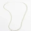 Silver-Toned Chain Link Necklace